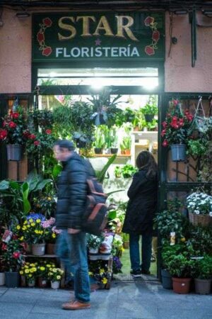Comercio con seguro para floristerías